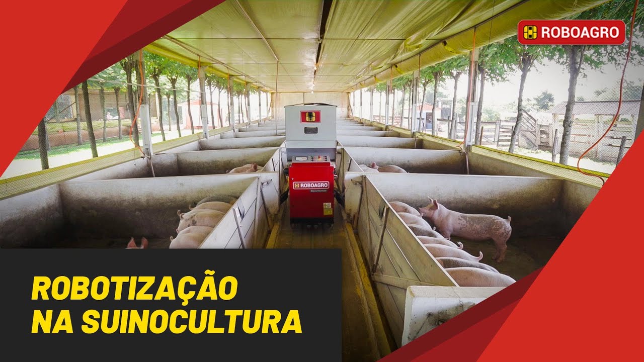 Conheça o ROBOAGRO - Primeiro Alimentador de Suínos Controlado por Aplicativo