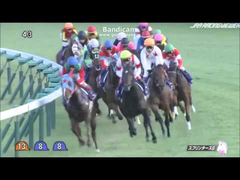 【競馬】スプリンターズＳ　新聞不要の究極馬券術　第38話