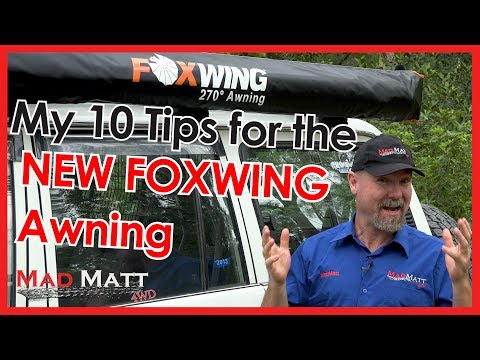 download lagu mp3 mp4 Fox Wing, download lagu Fox Wing gratis, unduh video klip Fox Wing