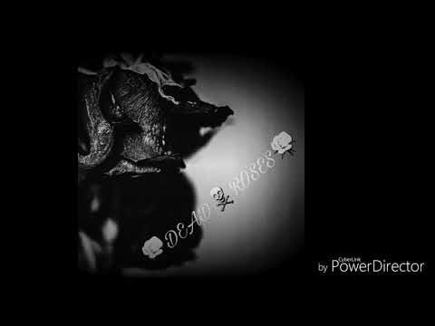 JaymfnDuce - Dead Roses Ft. TheMood (Prod. By Aura)