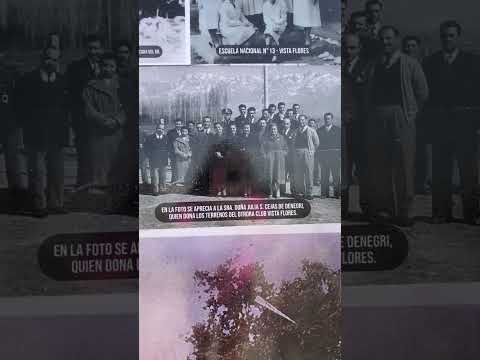 El Molino - Vista Flores - Tunuyán - Mendoza