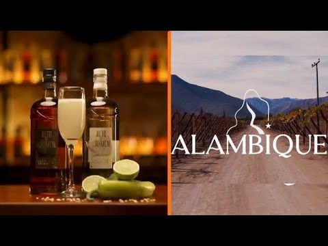 Aprende a preparar un fresco pisco sour elquino | Alambique