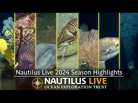 Relive the Best of E/V Nautilus 2024 Expedition Highlights! | Nautilus Live