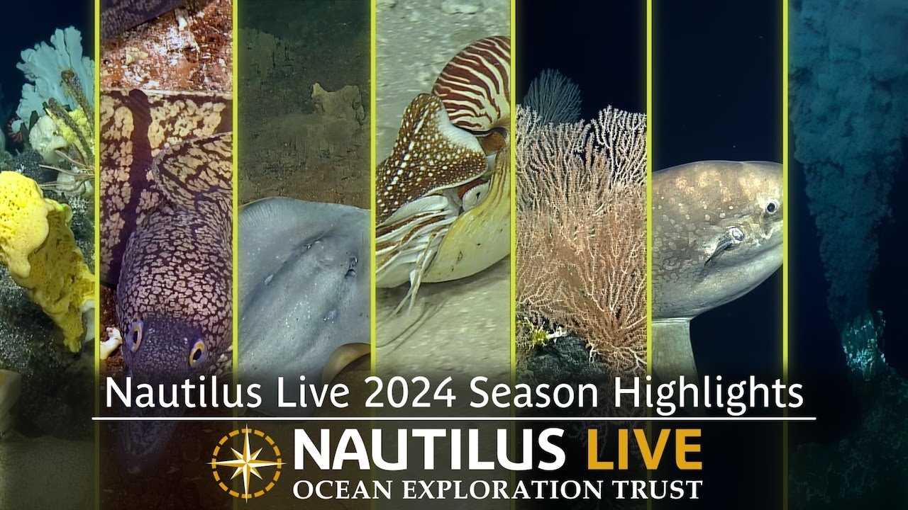 Relive the Best of E/V Nautilus 2024 Expedition Highlights! | Nautilus Live