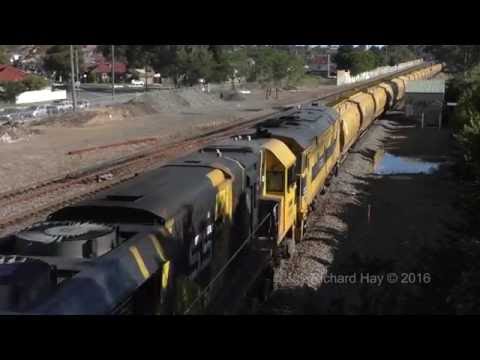 SSR101, SSR102 & 44206 - Waratah - 15th July 2016