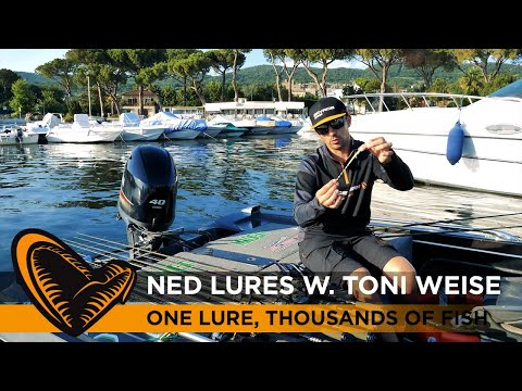 NED Lures with Toni Weise - One lure, thousands of fish!