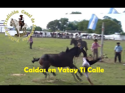 Cayendo por Yatay Ti Calle  #caballos #jinete #charreada #jaripeo #rodeo#Cowboy  # horse videos