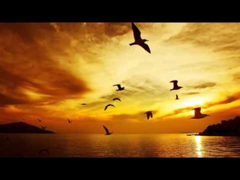 Uyama Hiroto- Waiting For... (Extended)