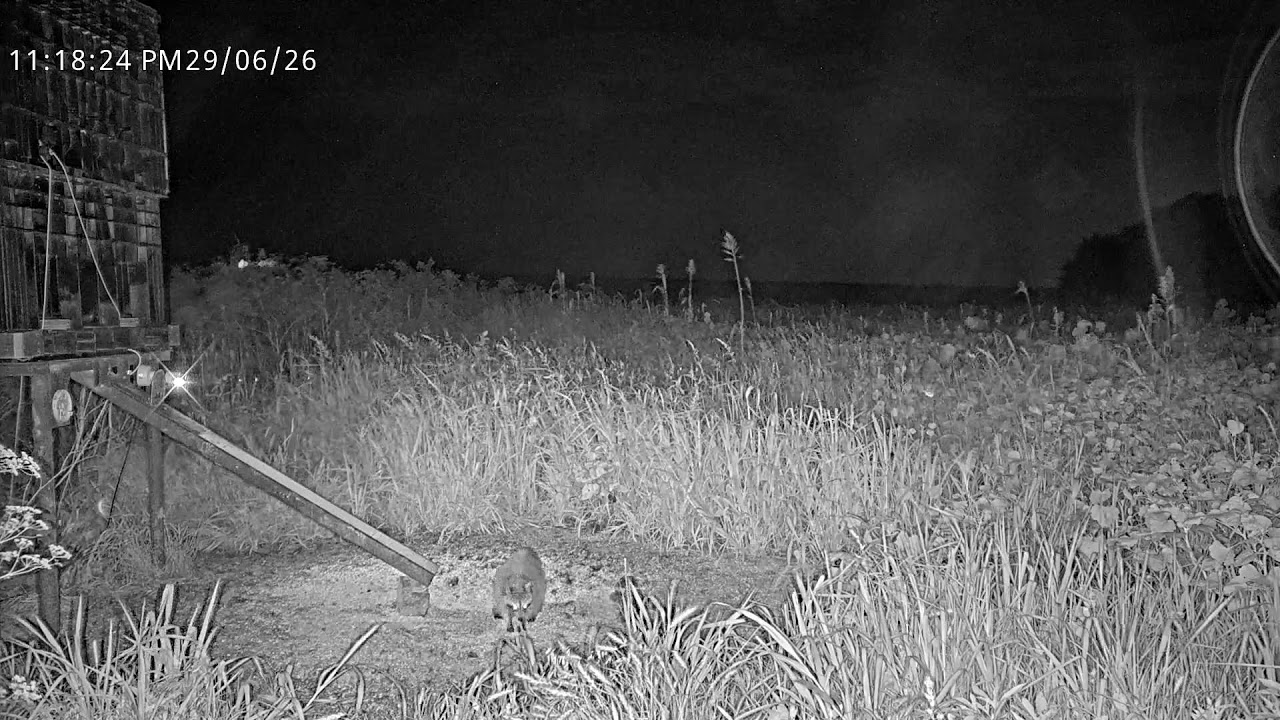 Live webcam view of Cámara de Ciervos sobre Campo de Cultivo