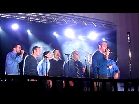 The Y-Studs- Bilvavi