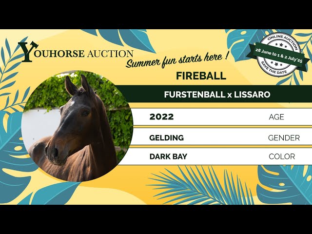Fireball