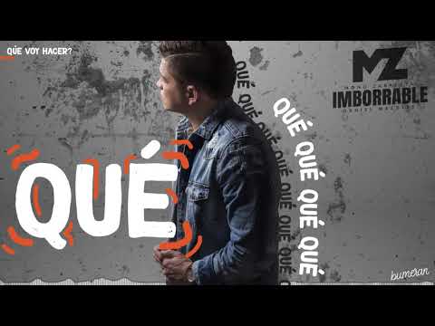QUÉ VOY HACER - (Video lyric) MONO ZABALETA - DANIEL MAESTRE