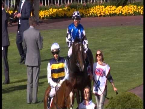 Bred to Win - Master of Design