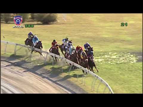 RM38 R8 | Moroccan Retreat | P.K.Horil | Hurchund Stable 100th win