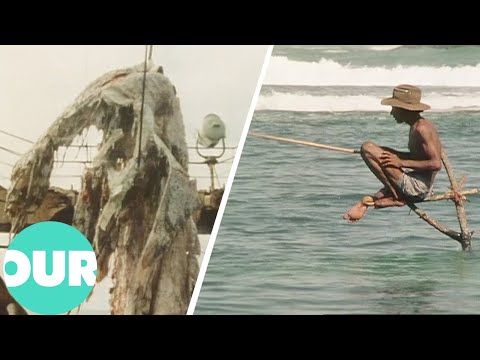 The Mystery Of The Great Sea Serpent | Our World