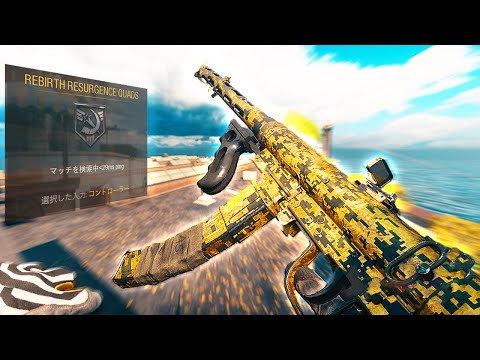 I Accidently Queued in Solo Quads and DROPPED 29 KILLS