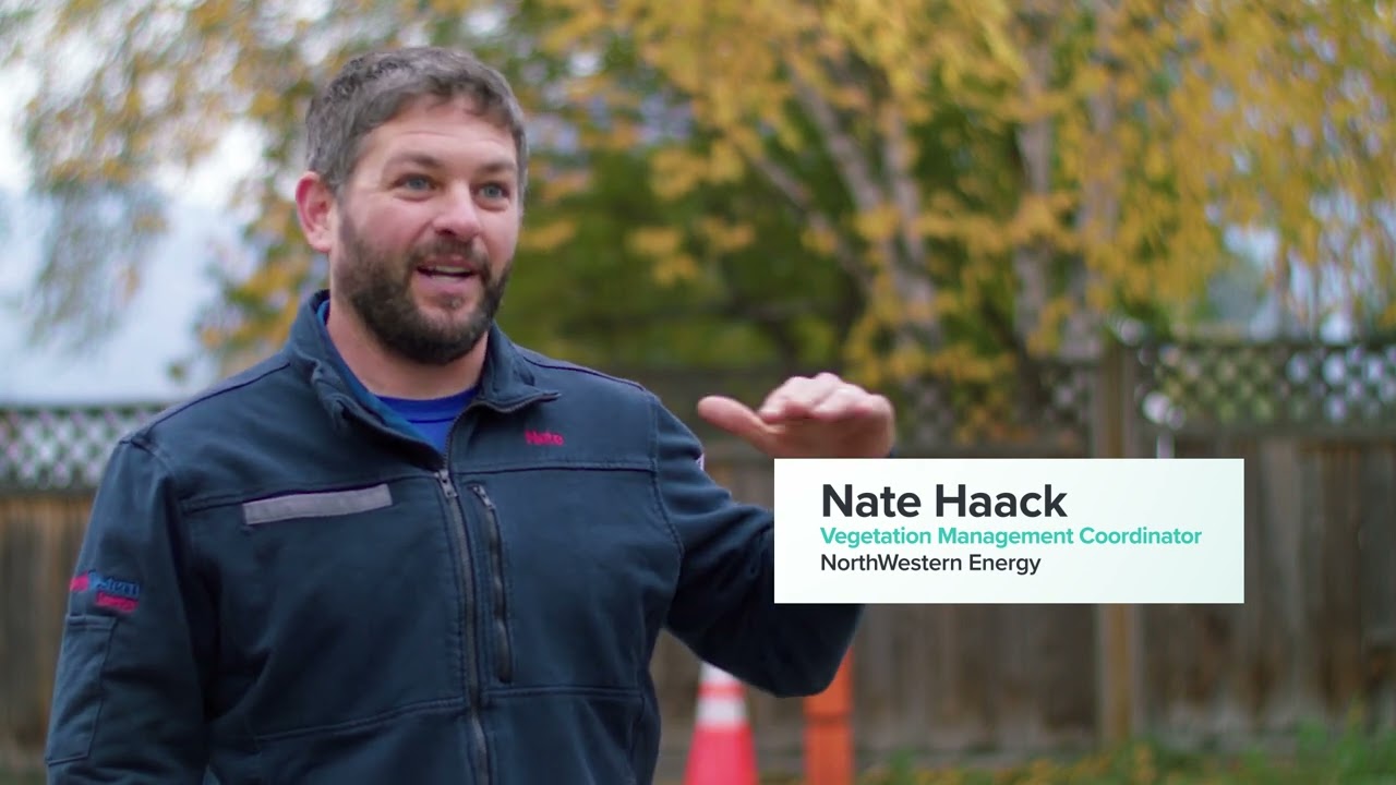 Tree Safety: Right Tree, Right Place