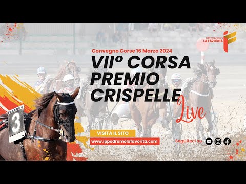 Live VII° Corsa del 16 Marzo 2024 - 5 Anni ed oltre - Metri 2000