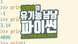 숫자형 자료형 | 유기농냠냠파이썬 | 김왼손의 왼손코딩