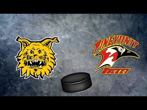 Kooste Ilves Vs Pinkkarit U11 6.3.2021