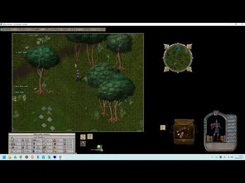 フェルッカについて詳しく解説