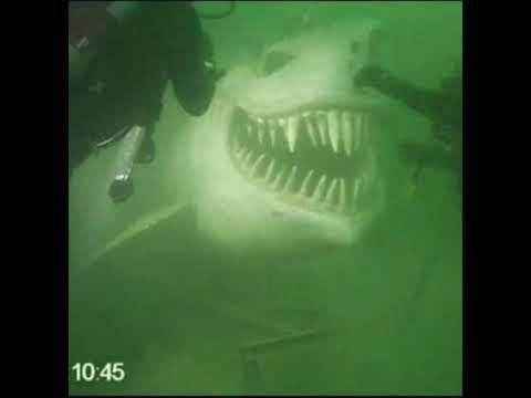 ghostofblu - FERMENTED