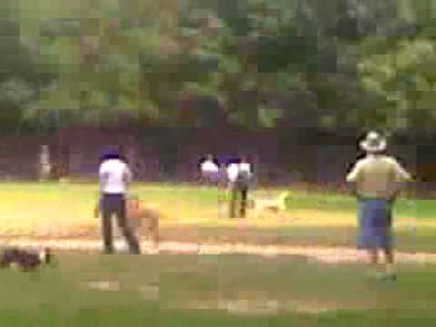 My Pitbull Mix Troy 1yrs old