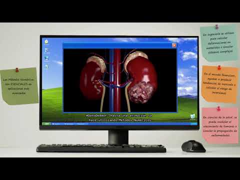 ¿QUÉ &%$# SON LOS MÉTODOS NUMÉRICOS? | zDynamics