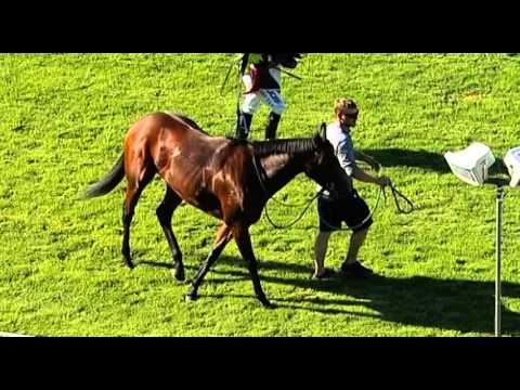 Ascot, 06/04/2016 - Race 5 - HIGH TEA - Brett Pope & Troy Turner