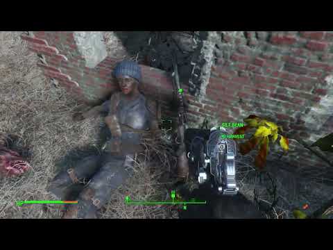 fallout 4 creation club CR-74 L combat rifle review