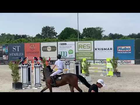 Precious Dwerse Hagen, Cornet Obolensky x Casall, 6 years old mare