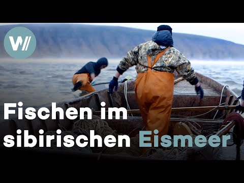 Jagd auf den Weißlachs: Fischen unter extremen Bedingungen im sibirischen Eismeer
