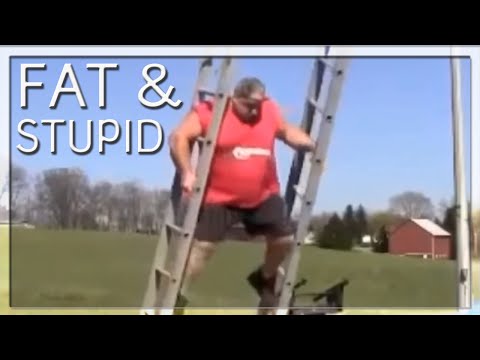 70 Funny Fat Jokes That Are Obesity-Free In 2023 70 Funny Fat Jokes That Are Obesity-Free In 2023