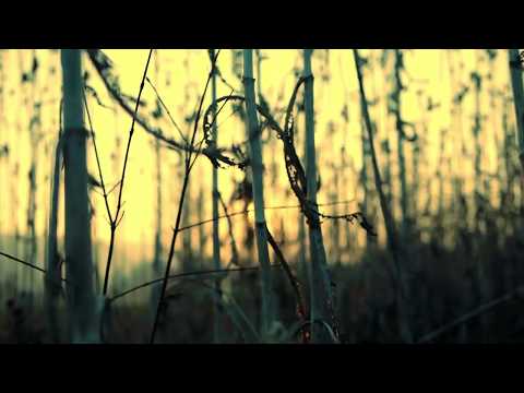 Antonín Dvořák - Legends, Op. 59 No. 2 in G major, Molto moderato