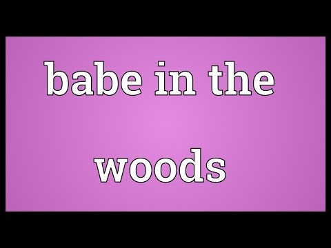 Babe in the woods Meaning