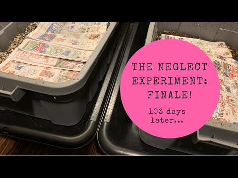 The Neglect Experiment: What Happened When We Left 2 Bins of Worms for 103 days...
