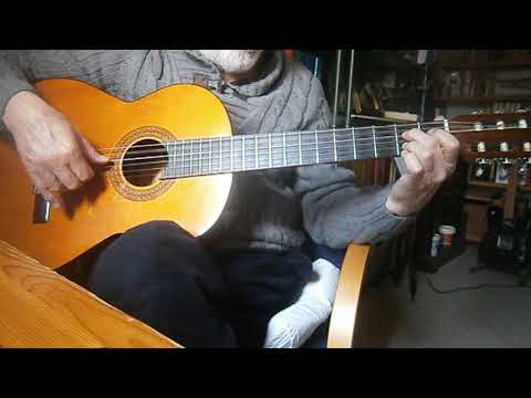Bruja Hada - David Cavazos