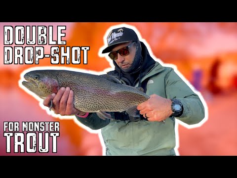 How To Double Drop Shot for MONSTER Trout! Tutorial and Trout Fishing Action!
