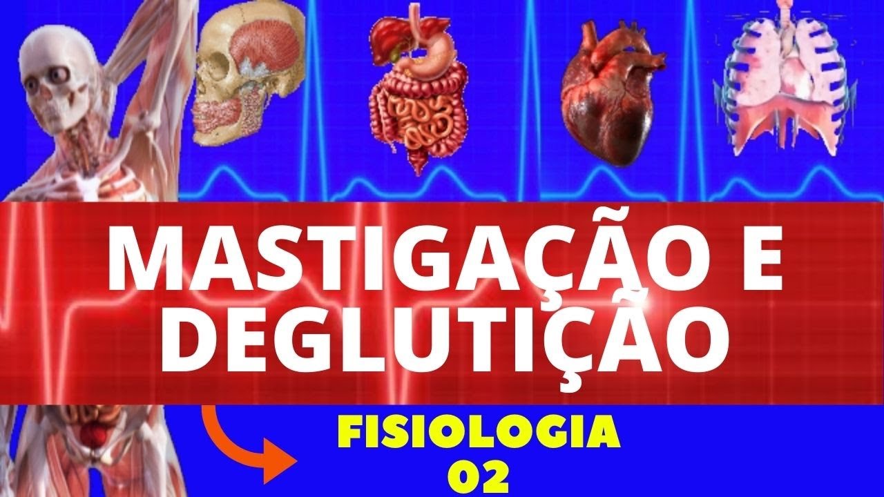 MASTIGAÇÃO E DEGLUTIÇÃO (SISTEMA DIGESTÓRIO) - FISIOLOGIA HUMANA (FISIOLOGIA DE GUYTON)