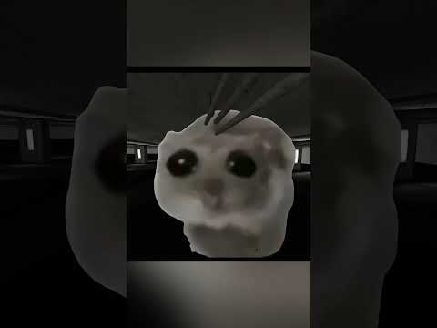 Xanva's Heartbreaking Hamster in GMOD