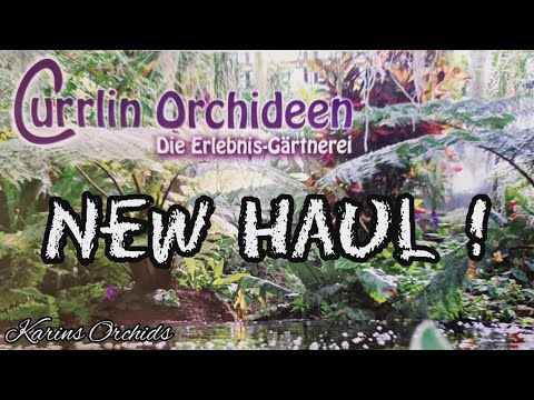 New Currlin orchid haul May 2021 unboxing video