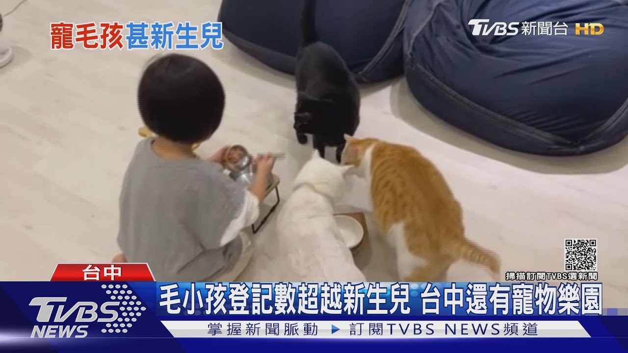 毛小孩登記數超越新生兒 台中還有寵物樂園