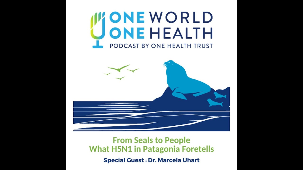 From Seals to People – What H5N1 in Patagonia Foretells