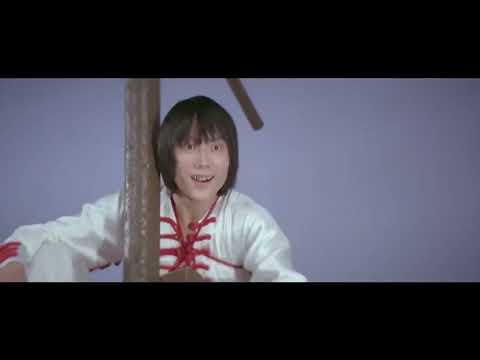 Two Champions of Shaolin (1980) - Fight Scene