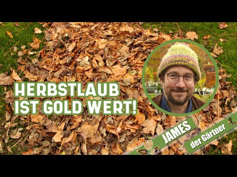 Mit dem Rasenmäher aus Laub wertvollen Mulch machen I James der Gärtner