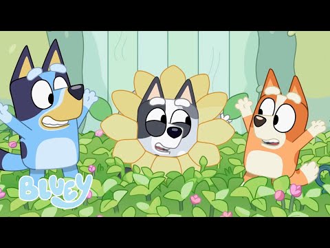 Capa de Diversão com o Muffin! | Bluey Português Brasil Canal Oficial