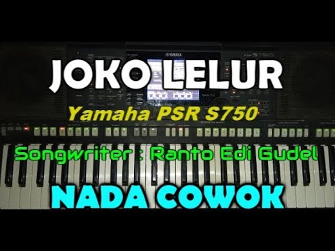 DIDI KEMPOT - JOKO LELUR (KARAOKE) By Saka