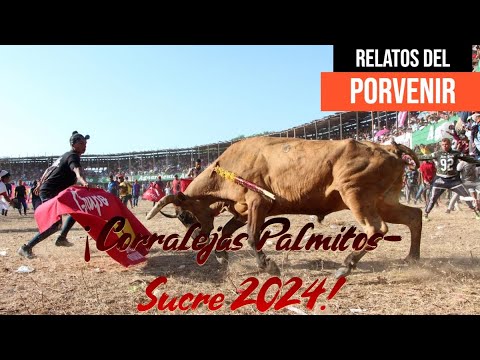 Corralejas San Antonio de Palmito 2024 | Relatos del porvenir | Edgar David Corralejas Tv | #viral
