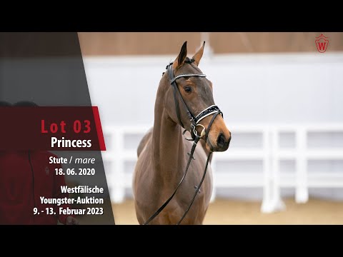 Youngster Online Auction Lot 03 Princesss Mare by Poker de Mariposa - Cannabis