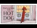 Hot Dog Winner Of The 2023 Caldecott Medal By Doug Salati